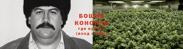 гашик Арсеньев