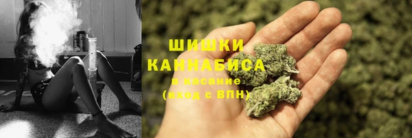 гашик Арсеньев
