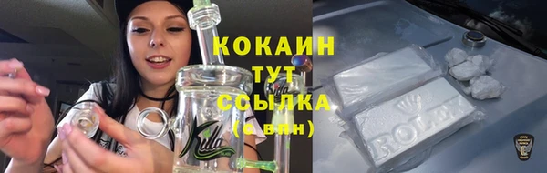 дмт Армянск