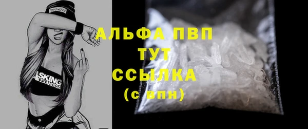 гашик Арсеньев