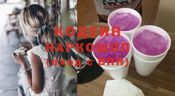 гашик Арсеньев