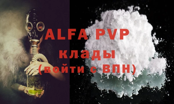 гашик Арсеньев