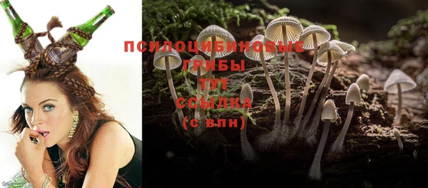 дмт Армянск