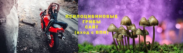 дмт Армянск