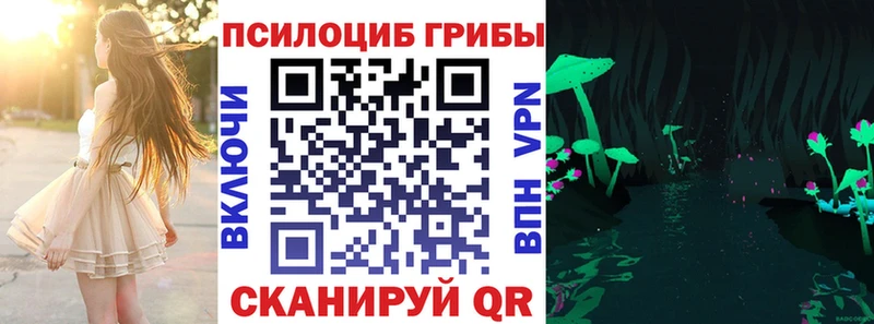 Галлюциногенные грибы Psilocybine cubensis Сясьстрой