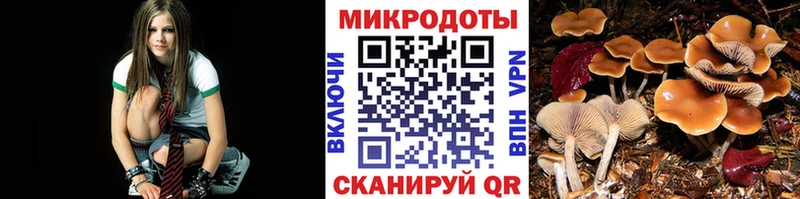 Псилоцибиновые грибы GOLDEN TEACHER  наркотики  Сясьстрой 