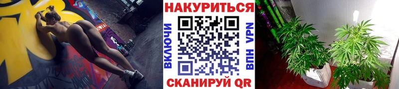 OMG как войти купить наркотик Сясьстрой Шишки марихуана Amnesia